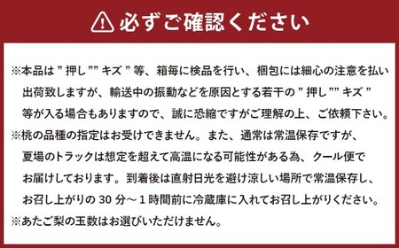 【3回定期便】岡山県産 フルーツ定期便コース （白桃 ・ シャインマスカット 晴王 ・ あたご梨）【2026年7月上旬発送開始】 ／ 3回 桃 もも マスカット 葡萄 ぶどう 梨 なし 果物 果実 フルーツ 旬 定期便 岡山県 美咲町 冷蔵 常温