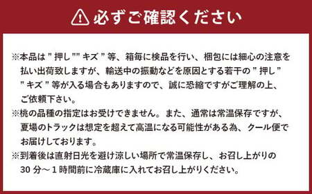【2回定期便】岡山県産 フルーツ定期便コース（白桃 ・ シャインマスカット 晴王） 【2026年7月上旬発送開始】 ／ 2回 桃 もも マスカット 葡萄 ぶどう 果物 果実 フルーツ 旬 定期便 岡山県 美咲町 冷蔵