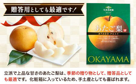 【先行予約】あたご 梨 約1.2kg 2玉 化粧箱 石原果樹園 《11月中旬-12月下旬頃より発送予定》岡山県 浅口市 フルーツ 果物 ギフト 贈り物 国産 岡山県産 送料無料