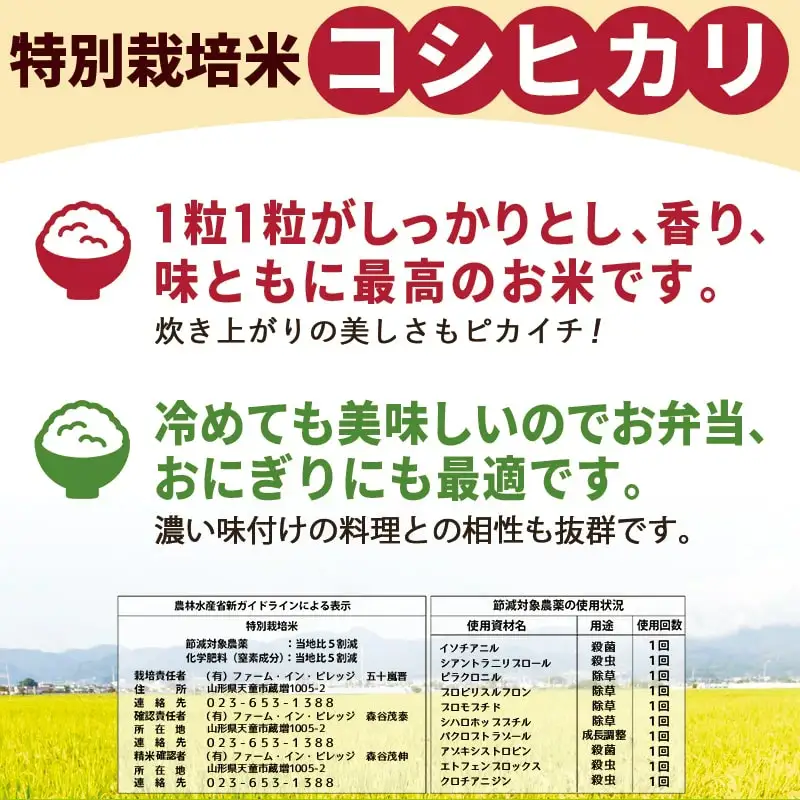 天童産 米 おすすめ 4種 セット 20kg [ 令和7年産 ] つや姫 雪若丸 はえぬき コシヒカリ 各5kg 精米 山形