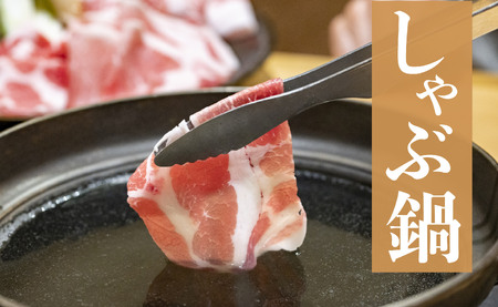 長崎県産 豚肉 ローススライス 計1kg (500g×2) 小分け 冷凍 豚肉 しゃぶしゃぶ すき焼き ぶたにく 国産豚 