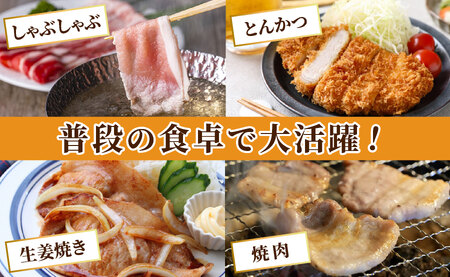 《定期便》長崎県産豚 食べ比べ 竹コース【6回お届け】