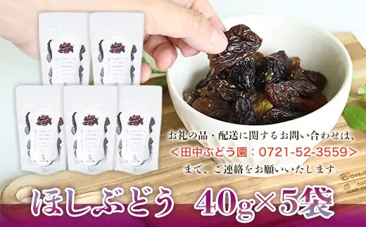 【定期便　毎月お届け3ヵ月】ほしぶどう 40g×5袋
