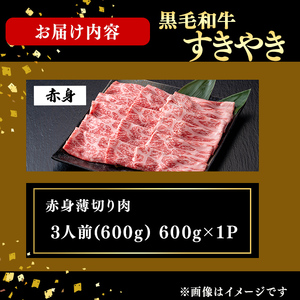 鹿児島県産黒毛和牛すき焼き肉赤身薄切り肉(3人前600g/600g×1P) b6-027