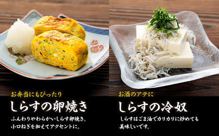 しらす 1kg ( 1kg × 1箱 ) 冷凍 贅沢 ちりめん しらす干し 減塩 極み ごはん 丼 パスタ チャーハン サラダ 魚 料理 山庄 愛知県 南知多町 師崎