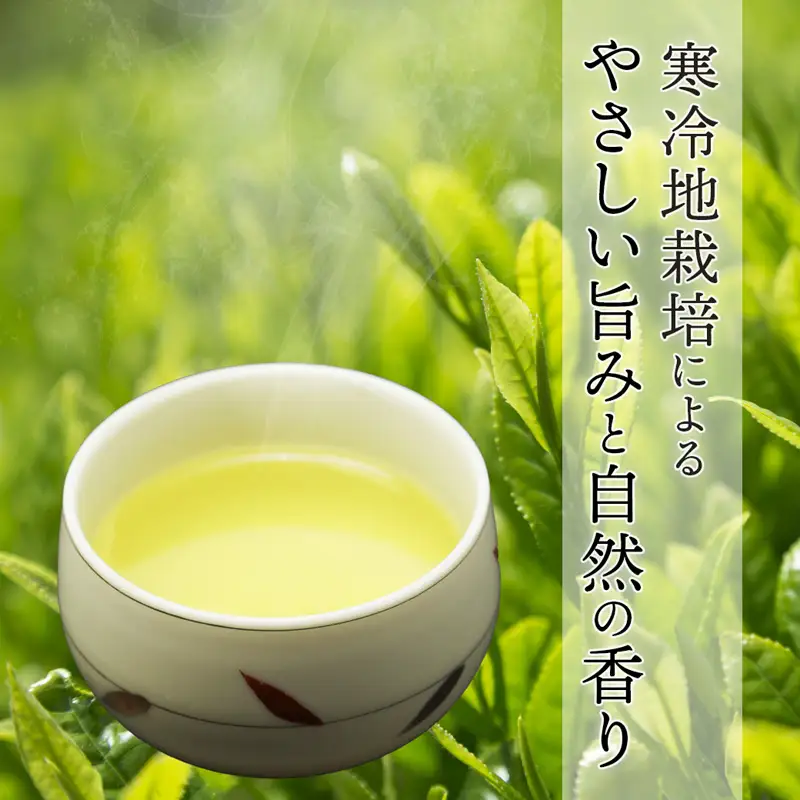 舞鶴茶 青柳（あおやぎ）2袋 600g /300g×2 | お茶 緑茶 茶