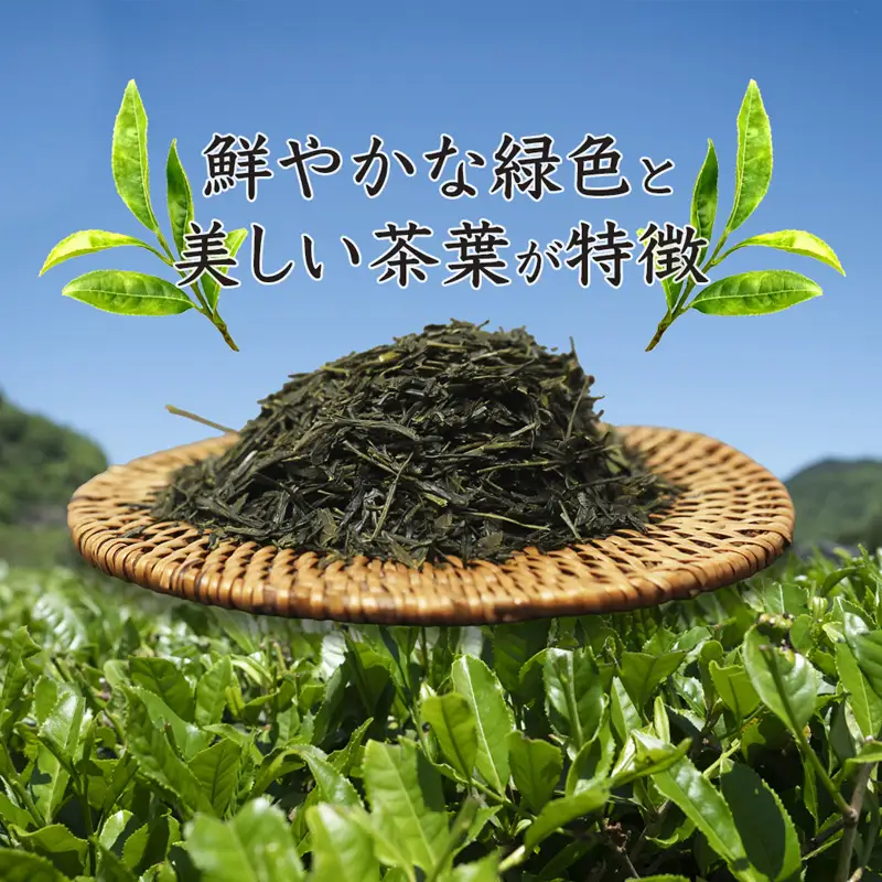 舞鶴茶 上煎茶 2袋 400g /200g×2 | お茶 緑茶 茶