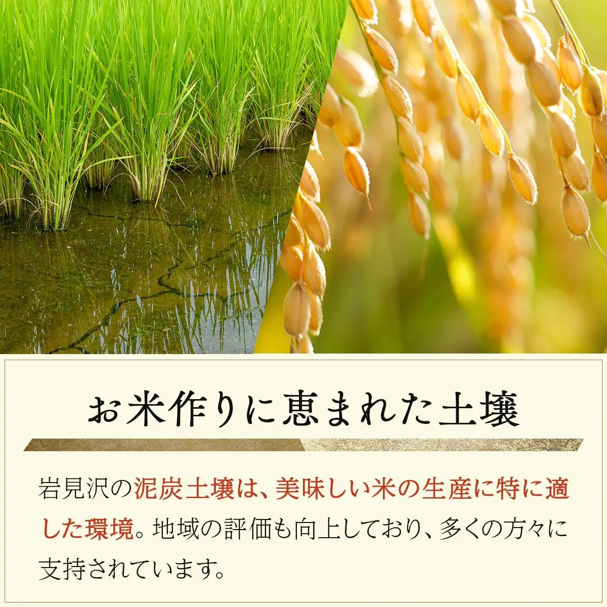 令和7年産 北海道 岩見沢市産 おぼろづき 玄米 10kg ≪沖縄・離島配送不可≫ a124-036-R7