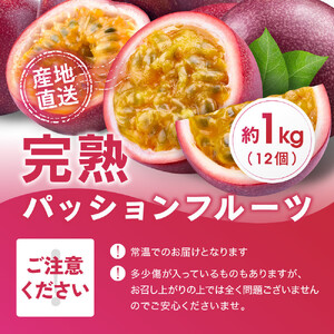 パッションフルーツ (1kg12個入り化粧箱) 2026年6月～出荷開始 | パッションフルーツ