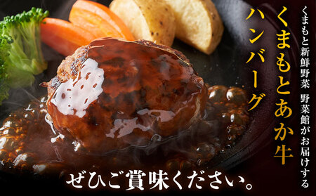 くまもとあか牛ハンバーグ 150g×6個 有限会社草佳苑《30日以内に出荷予定(土日祝除く)》熊本県 菊池市 肉 牛肉 お肉 和牛 あか牛 ハンバーグ 熊本県産 冷凍