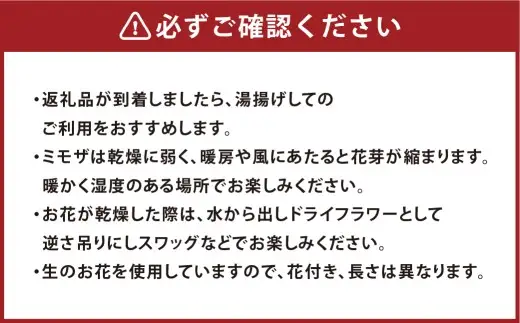 【倉敷市栽培】春限定！ミモザとユーカリの花束／フレッシュ【2027年2月下旬～3月下旬発送予定】【ハンドメイド ミモザリース リース ドライフラワー ミモザ お花 花 岡山県 倉敷市 おすすめ 人気】