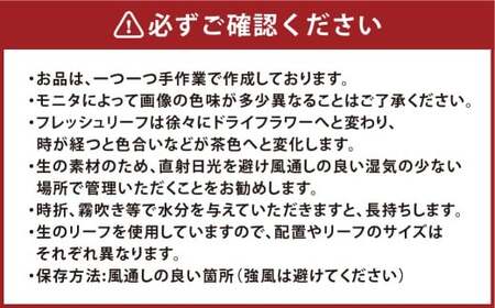 【倉敷市栽培】常緑樹のChristmasリース／フレッシュ／グリーン／Lサイズ【2026年11月上旬～12月下旬発送予定】