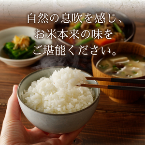 a22-065　令和７年産 おいしく節約 しあわせごはん お米の小粒ちゃん 10kg