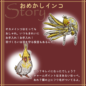 おはなし靴下 ギフトボックス オカメインコ レディース アイボリー