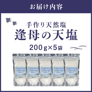 【1260-1】手作り天然塩　【逢母の天塩】200g×5パック