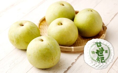 【2ヶ月定期便】 梨 3kg （計6kg） 2回定期便 なし ナシ 果物 果実 フルーツ 定期便 国産 九州 福岡県 嘉麻市 常温 【2026年9月下旬-10月下旬発送予定】