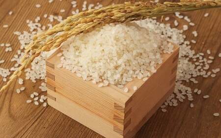 【令和7年産】 無洗米 食味鑑定士厳選 夢つくし 30kg（5kg×6袋） 米 こめ コメ お米 精米 単一原料米 ごはん ご飯 ライス おにぎり