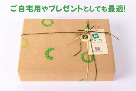 ゴーヤーの3点食器セット（丸）