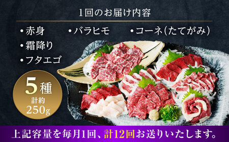 【全12回定期便】5種の馬刺し 盛り合わせセット 5人前 約250g 馬刺し 定期便[AYAT034]