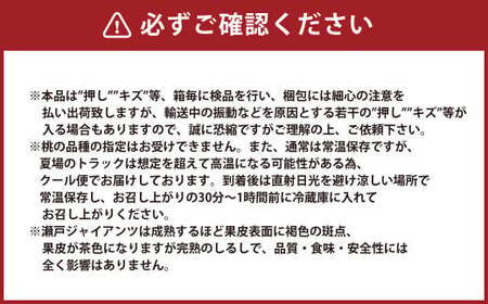 【5回定期便】 岡山県産 フルーツ定期便コース【2026年7月上旬発送開始】定期便 フルーツ 果物 くだもの 葡萄 ぶどう ブドウ 梨 なし ナシ 桃 もも モモ マスカット 贈答品 ギフト