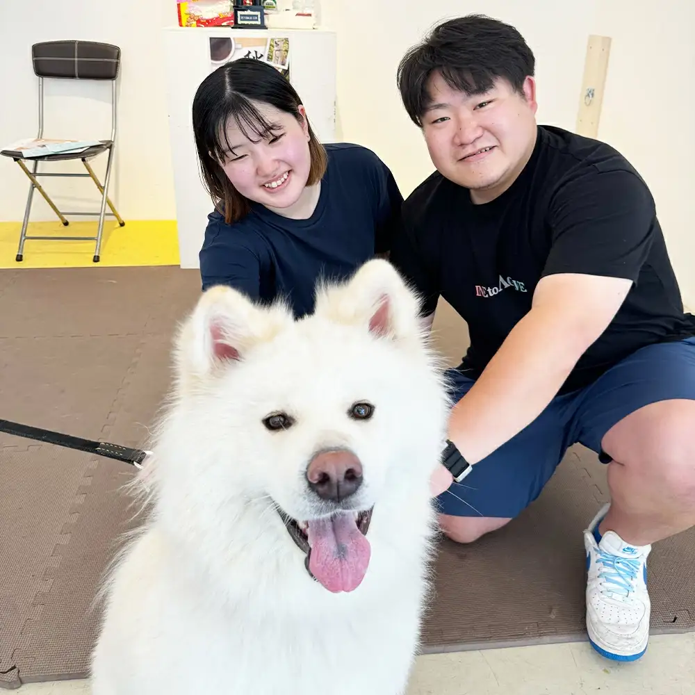 もふもふ秋田犬ふれあい体験30分 大人（中学生以上）　1名様（ふれあい10分・1ドリンク付）　【35P8401】