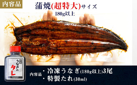 【期間限定】三河一色産うなぎ蒲焼超特大3尾(計540g以上)・R047-26