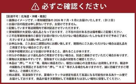 【2回定期便】 桃 （白桃・黄金桃）【2026年7月上旬より順次発送開始】 もも フルーツ 果物 くだもの ギフト 白桃 黄金桃 国産 岡山県産