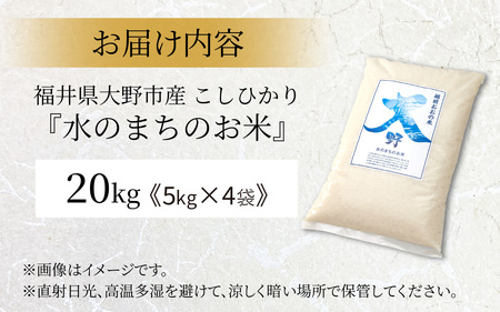 【令和7年産】こしひかり（福井県大野市産）エコファーマー米（白米）20kg（5kg×4袋）[F-003005]