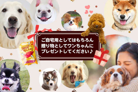 犬のおやつ 干し芋 100g 4袋 [吉田青果 徳島県 北島町 29bf0001]