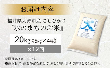 【令和7年産】【12ヶ月定期便】こしひかり 20kg × 12回 計 240kg【白米】減農薬・減化学肥料 「特別栽培米」－地球にやさしいお米－ [T-003002]