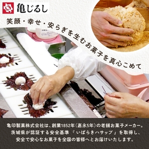 【3ヶ月定期便】亀印製菓 茨城県産栗＆芋満喫定期便B（MP-36）