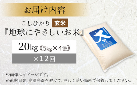 【令和7年産】【12ヶ月定期便】こしひかり 20kg × 12回 計 240kg【玄米】減農薬・減化学肥料 「特別栽培米」－地球にやさしいお米－[S-003001]