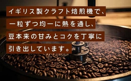 コーヒー豆 300g （100g×3）（tazu鶴×1/sumika栖×1/saiwai福×1）