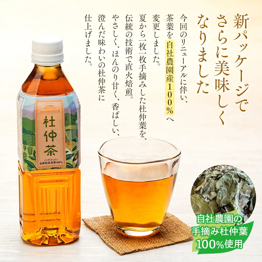 ノンカフェイン　信州伊那谷の手摘み杜仲茶〔ペットボトル 500ml×24本入〕自然豊かな胎内高原の天然水で低温抽出 化学合成農薬不使用 飲料 ドリンク 飲み物 清涼飲料水 信州 長野 長野県 
