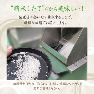 【令和7年産米】魚沼産こしひかり(十日町地域)5kg 7月配送 お米 精米 こめ ご飯 白米  旧：五郎兵衛