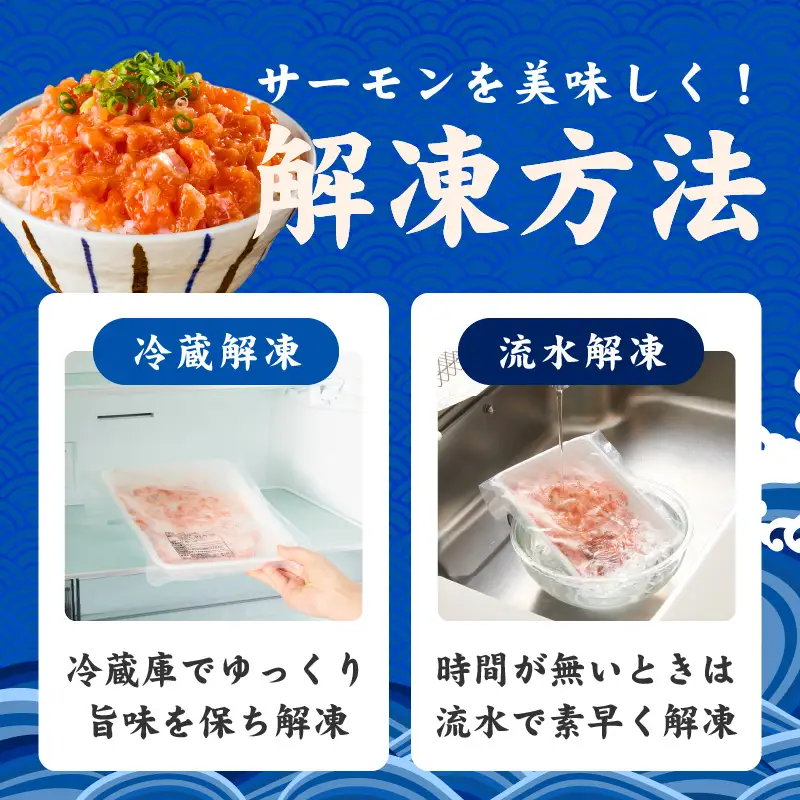 015B617 サーモン ダイスカット 合計1kg 【小分け 500g×2P 海鮮丼 人気 オススメ 小分け 冷凍 簡単調理 一人暮らし 東洋冷蔵】