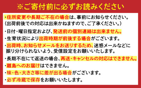 【2026年発送分 先行予約】佐賀県産 梨（品種おまかせ）5kg / 和梨 果物 フルーツ 幸水 豊水 / リフルット株式会社 [41ABAA025]