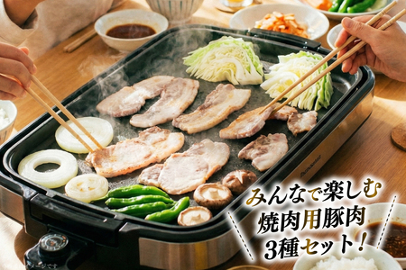 豚肉 小分け 兵庫県産 三田ポーク 焼肉用 3種 500g 計 1.5kg ロース 肩ロース バラ セット [パスカルさんだ 兵庫県 三田市 3d28bae660043]