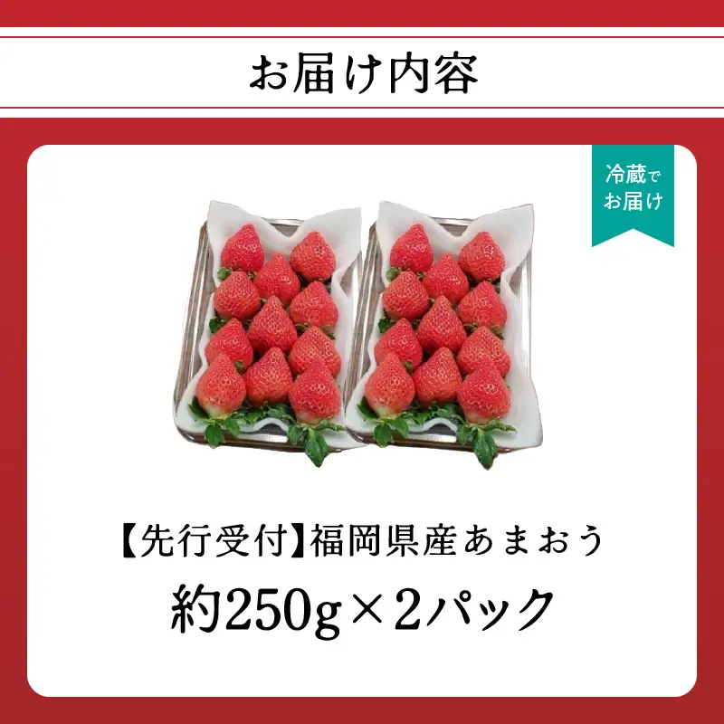福岡県産あまおう 約250g×2パック【2027年3月発送予定】 いちご イチゴ 苺 あまおう フルーツ 果物 くだもの 250g 2パック 福岡県 八女市 155-004