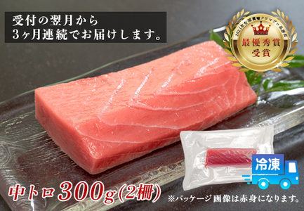 訳あり まぐろ マグロ 本鮪 黒潮本まぐろ 中トロ 定期便 3回 300g × 3回 刺身