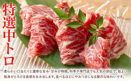 馬刺し スライス 2種セット 計200g 赤身 特選中トロ 馬刺しタレ 有限会社草佳苑《30日以内に出荷予定(土日祝除く)》熊本県 菊池市 馬刺し 馬肉 肉 お肉 赤身 特選中トロ 馬刺しタレ