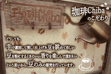 【6回定期便】 コーヒー豆 ブルーマウンテン 100g 3パック [珈琲Chiba 福岡県 筑紫野市 21761421]