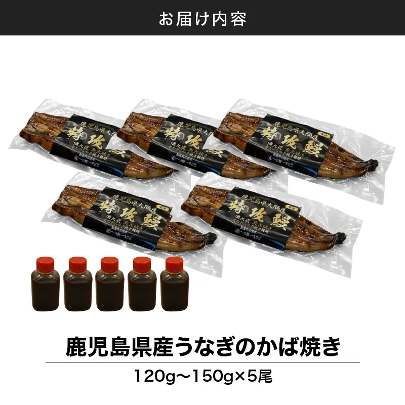 【 土用の丑の日特集 】 鹿児島県産 うなぎ の かば焼き 5尾 KN174-001-05 ウナギ 鰻 蒲焼き 冷凍