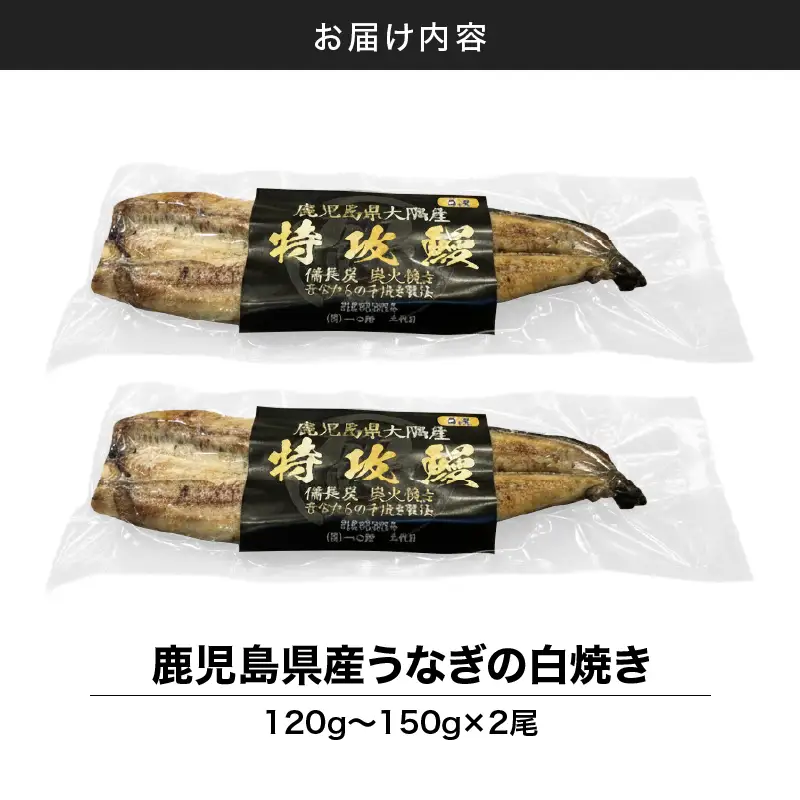 【 土用の丑の日特集 】 鹿児島県産 うなぎ の 白焼き 2尾 KN174-002-02 ウナギ 鰻 冷凍
