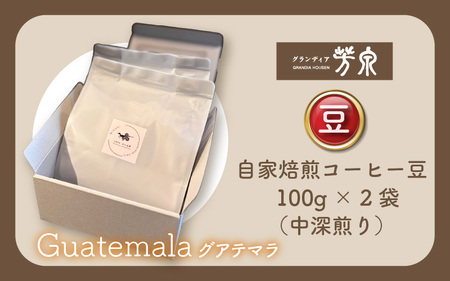 【豆タイプ】Cafeだいな荘　自家焙煎コーヒーグアテマラ グランディア芳泉若旦那こだわりの珈琲 [aw014-a007_01]