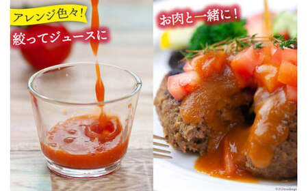 【2026年発送】秋作 トマト 桃太郎 約1kg [ヨダファーム 山梨県 中央市 21470962] とまと tomato 野菜 やさい 1キロ 季節限定 期間限定 産地直送 山梨県産【2026年10月下旬-12月下旬発送予定】