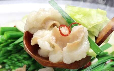 博多 もつ鍋 セット （九州 醤油 仕立て） 2～3人前 国産 牛もつ 300g 博多もつ鍋 国産牛 もつなべ 鍋 鍋セット 牛 もつ モツ 小腸 牛ホルモン ちゃんぽん麺 醤油スープ 福岡県 嘉麻市 冷凍