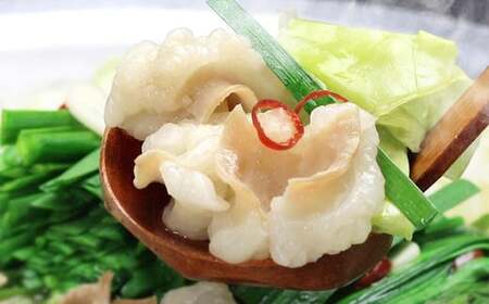 博多 もつ鍋 セット （九州 味噌 仕立て） 4～6人前 国産 牛もつ 600g 博多もつ鍋 国産牛 もつなべ 鍋 鍋セット 牛 もつ モツ 小腸 牛ホルモン ちゃんぽん麺 味噌スープ 福岡県 嘉麻市 冷凍