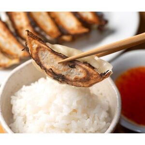 【瞬間冷凍】肉汁溢れる 黒豚餃子 100個（2kg）