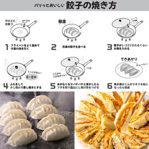 【瞬間冷凍】お酒との相性抜群のスパイス餃子 100個（2kg）